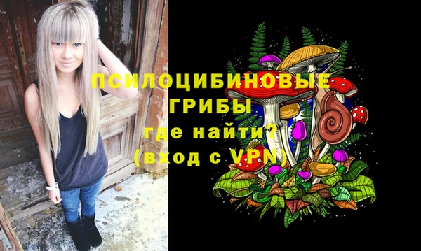 меф Бородино