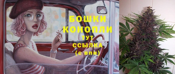 spice Белокуриха