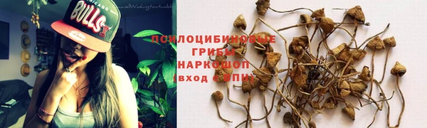 spice Белокуриха