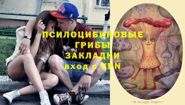 spice Белокуриха